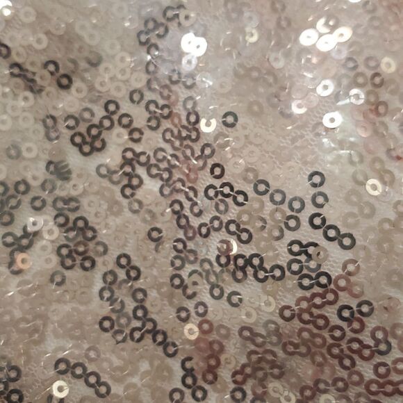 TYLER BOE Connie Sequined Shift Dress - Picture 6 of 7